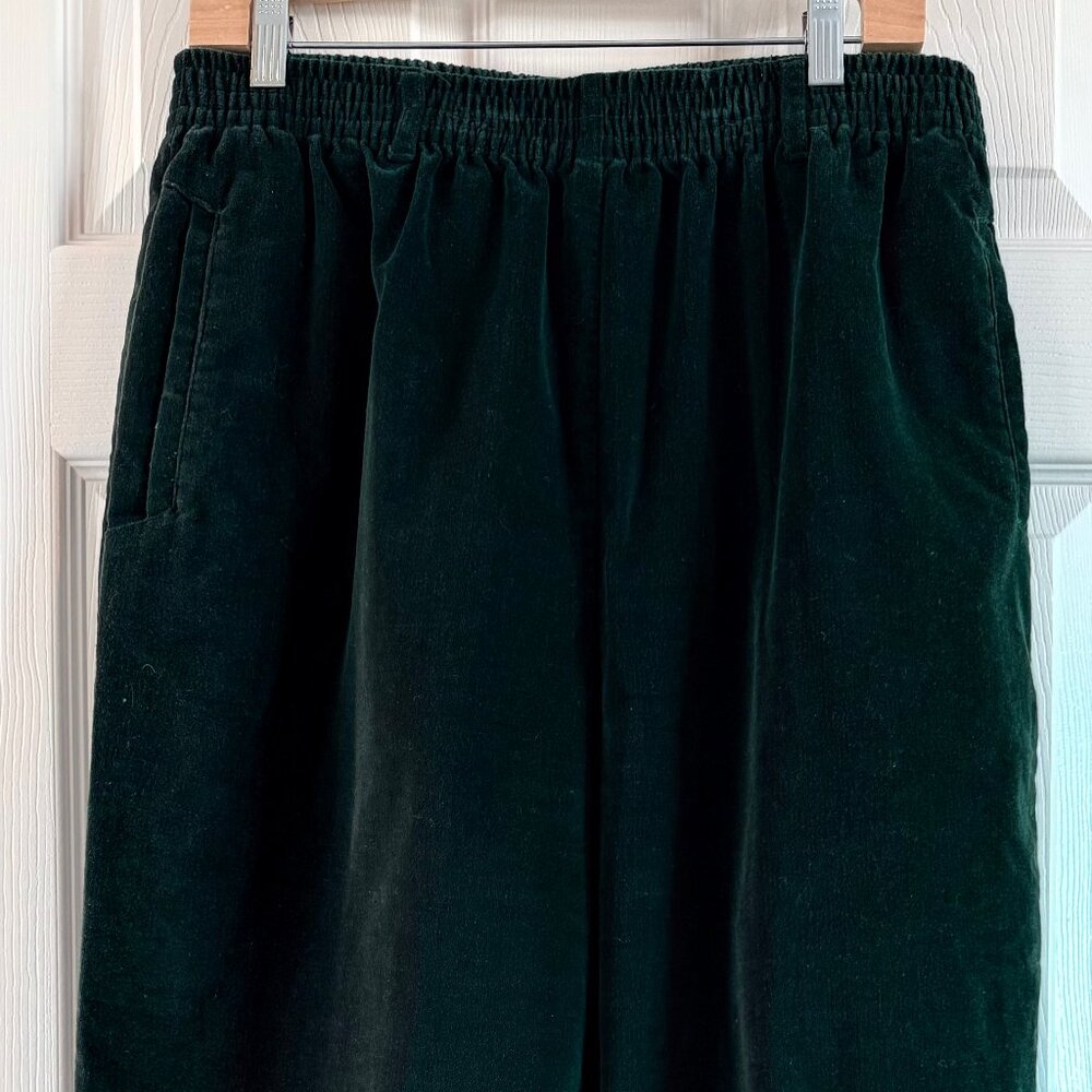 Talbots Velvet Pants